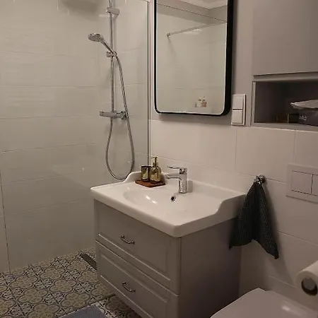 W Sosnowym アパート *