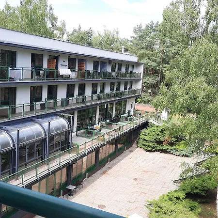 W Sosnowym アパート *