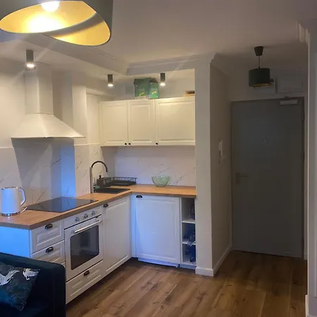 W Sosnowym アパート *