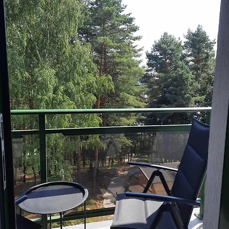 W Sosnowym アパート *