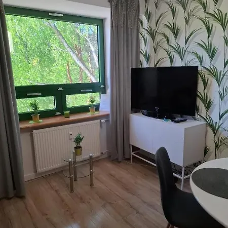 Apartment W Sosnowym