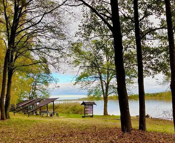 W Sosnowym Apartamento Serock