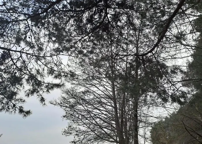 Apartamento W Sosnowym